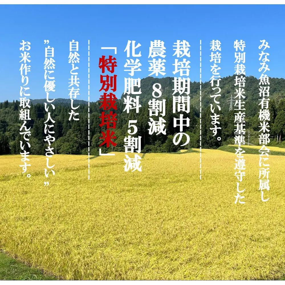 令和8年産新米予約定期便【天水棚田米】特別栽培米雪蔵熟成塩沢産コシヒカリ精米4kg12回「とやの里山継承プロジェクト」【定期便 銘柄米 精米 こしひかり コシヒカリ 魚沼産 新潟米】【2026年10月下旬より順次発送予定】
