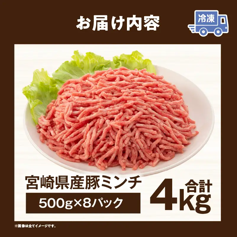 宮崎県産豚ミンチ 4kg_kn126-002-040