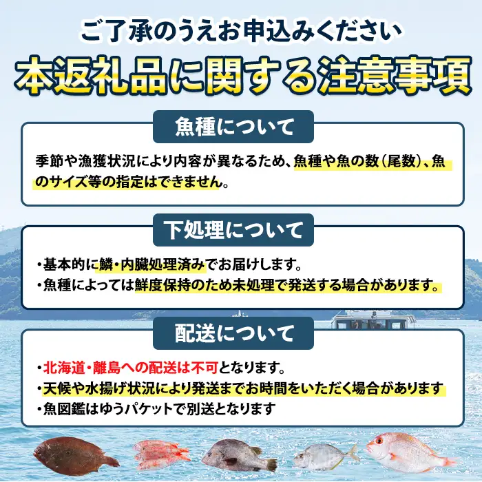 【北海道・離島配送不可】漁師直送！朝獲れ 季節の 鮮魚 詰め合わせ (並) (合計2kg以上・3～5種) 下処理済み 大衆魚 高級魚 未利用魚 冷蔵 BOX ボックス イカ 鯛 海鮮 魚介 食べ比べ 詰合せ 宮崎県産 【O-10】【門川漁業協同組合】