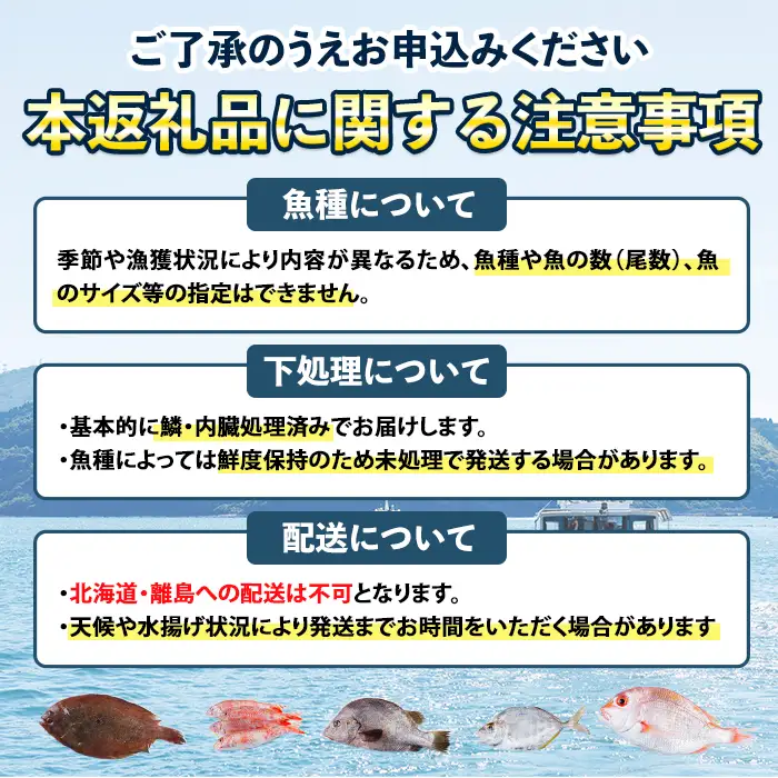 【北海道・離島配送不可】漁師直送！朝獲れ 季節の 鮮魚 詰め合わせ (上) (合計2kg以上・3～5種) 下処理済み 大衆魚 高級魚 未利用魚 冷蔵 BOX ボックス イカ 鯛 海鮮 魚介 食べ比べ 詰合せ 宮崎県産 【O-11】【門川漁業協同組合】