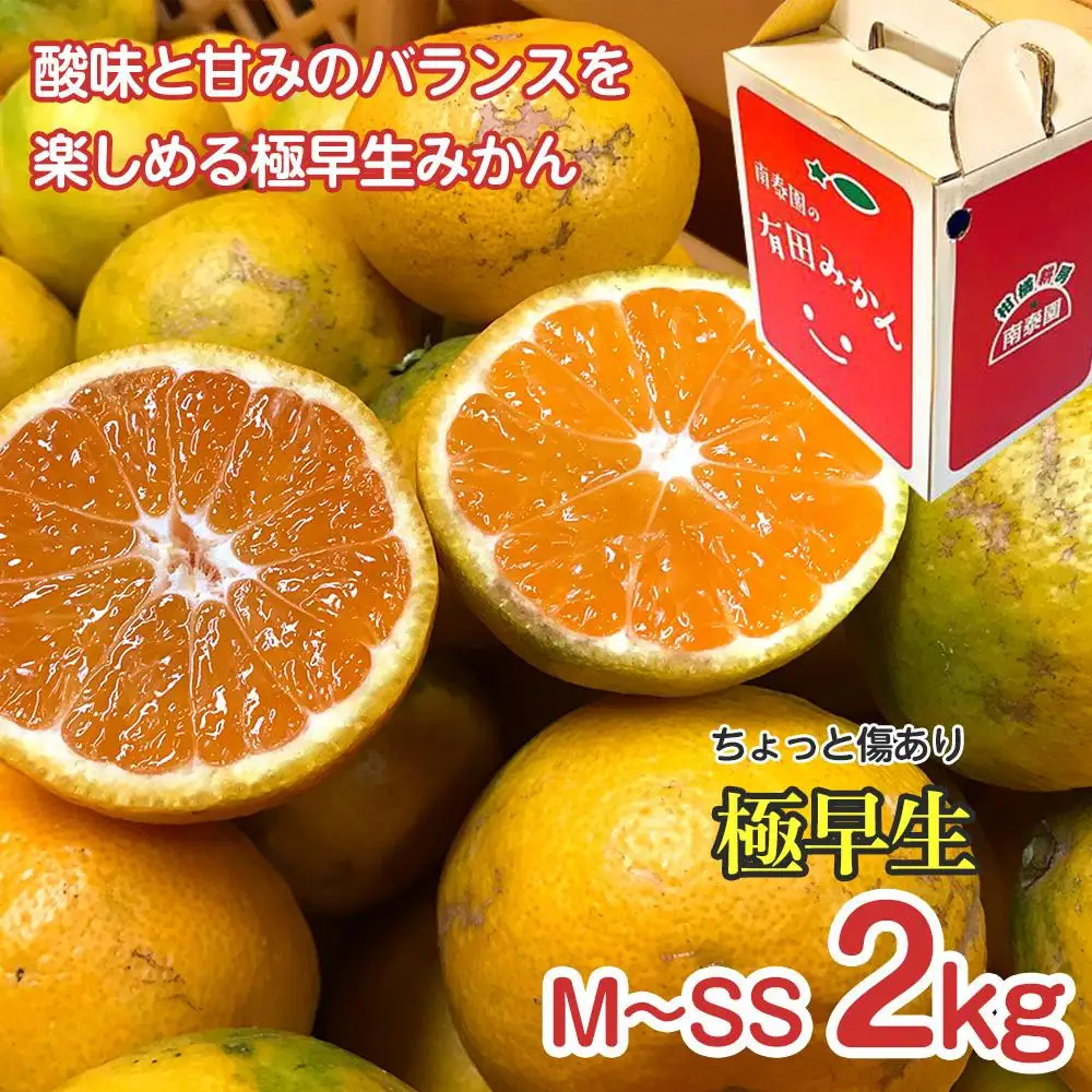 【 4年間 有田みかん 3種 食べくらべ ／ 全12回 】 ちょっと 傷あり 2kg × 3回 × 4年 コース 南泰園 みかん