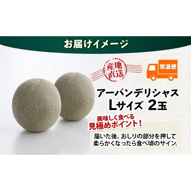 青森県産 つがりあんメロン 「アーバンデリシャス」 Lサイズ 2玉 甘い 濃厚 ハウス栽培 弘果弘前中央青果 産地直送 メロン フルーツ 果物 ギフト 贈答 青森県 鶴田町