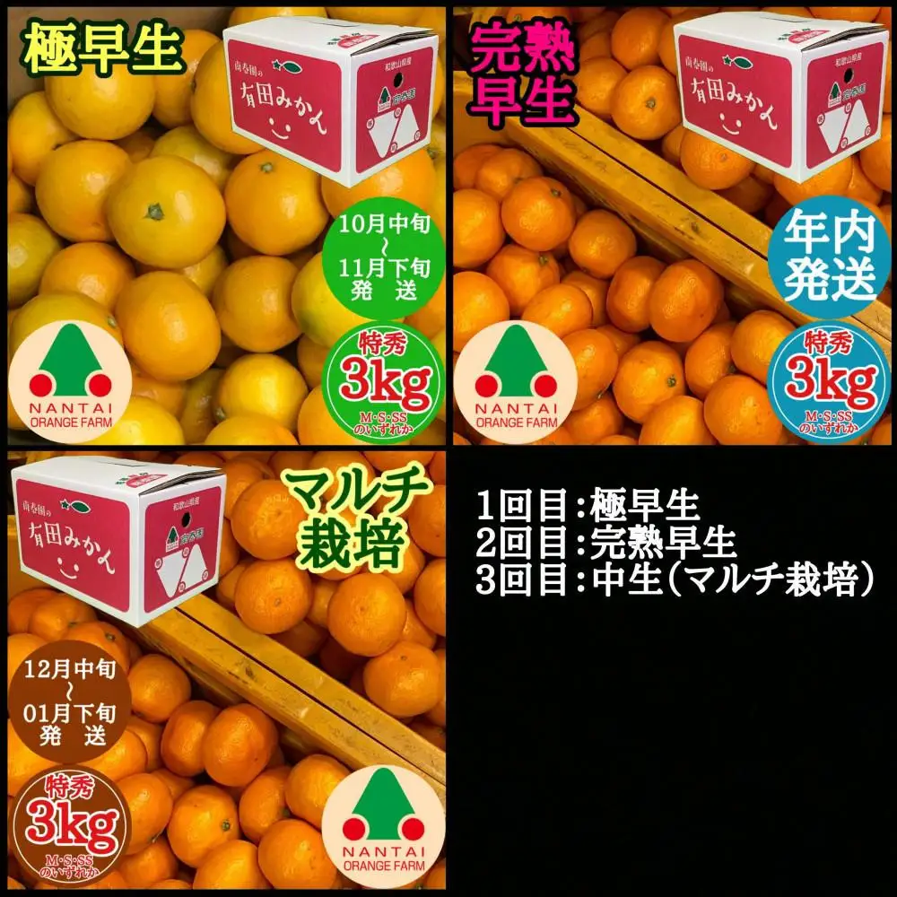 【 5年間 有田みかん 3種 食べくらべ ／ 全15回 】 特秀 3kg × 3回 × 5年 コース 南泰園 みかん