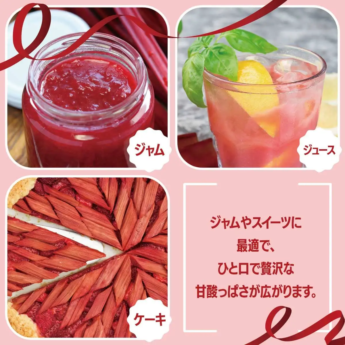 北海道 伊達市産 ルバーブ(苗) 4本｜国産 野菜 ジャム パイ お菓子作り 家庭菜園【kzh-020】