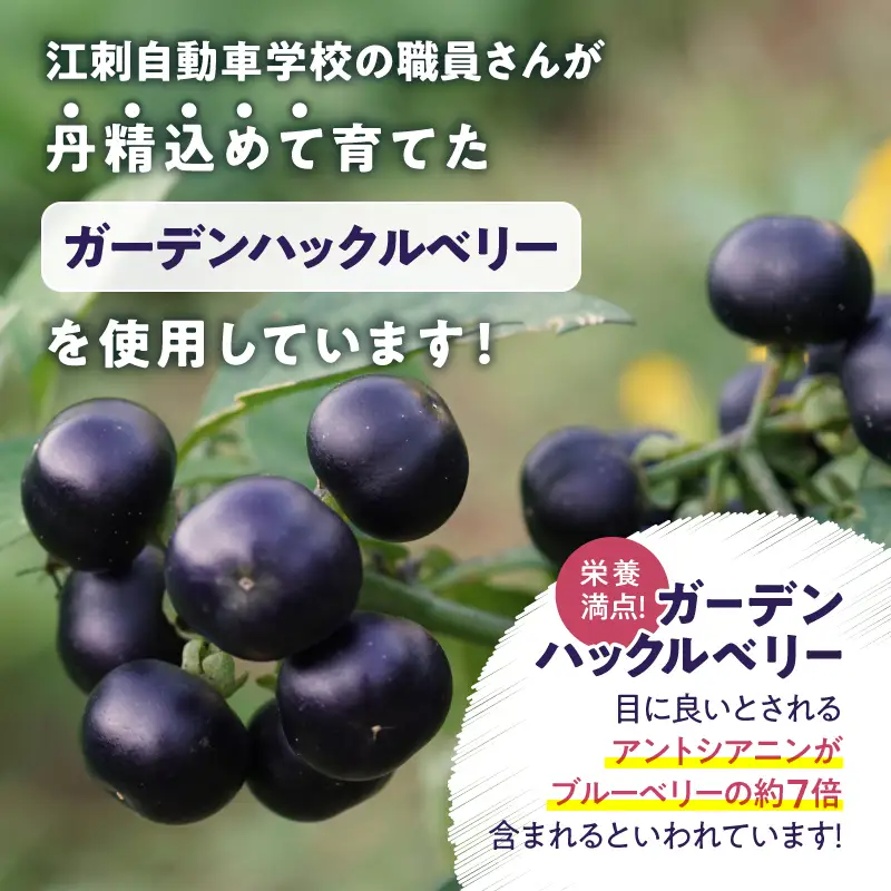 ガーデンハックルベリーどら焼(箱入り) 20個入り 贈答用 冷蔵 [N0018]