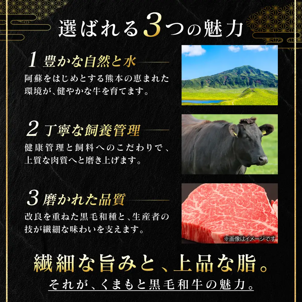 牛肉 【訳あり】 くまもと黒毛和牛 ヒレ サイコロ ステーキ 600g （150g×4パック） A4～A5ランク 牛肉