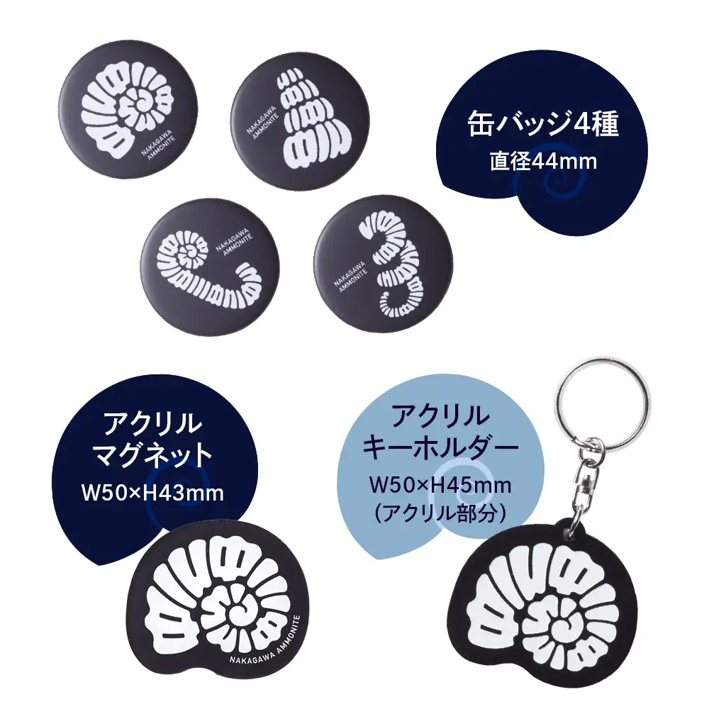 ナカガワアンモナイトグッズ　コンプリートボックス