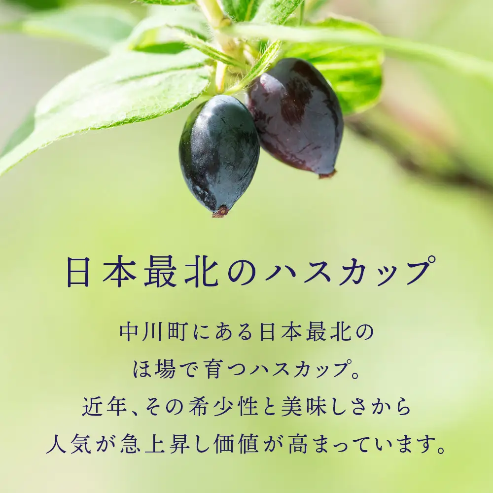 ハスカップ入り 蜂蜜酒 375ml×1本 [エンジョイ道北 北海道 中川町] 酒 お酒 おさけ はちみつ酒 ハスカップ アルコール はちみつ