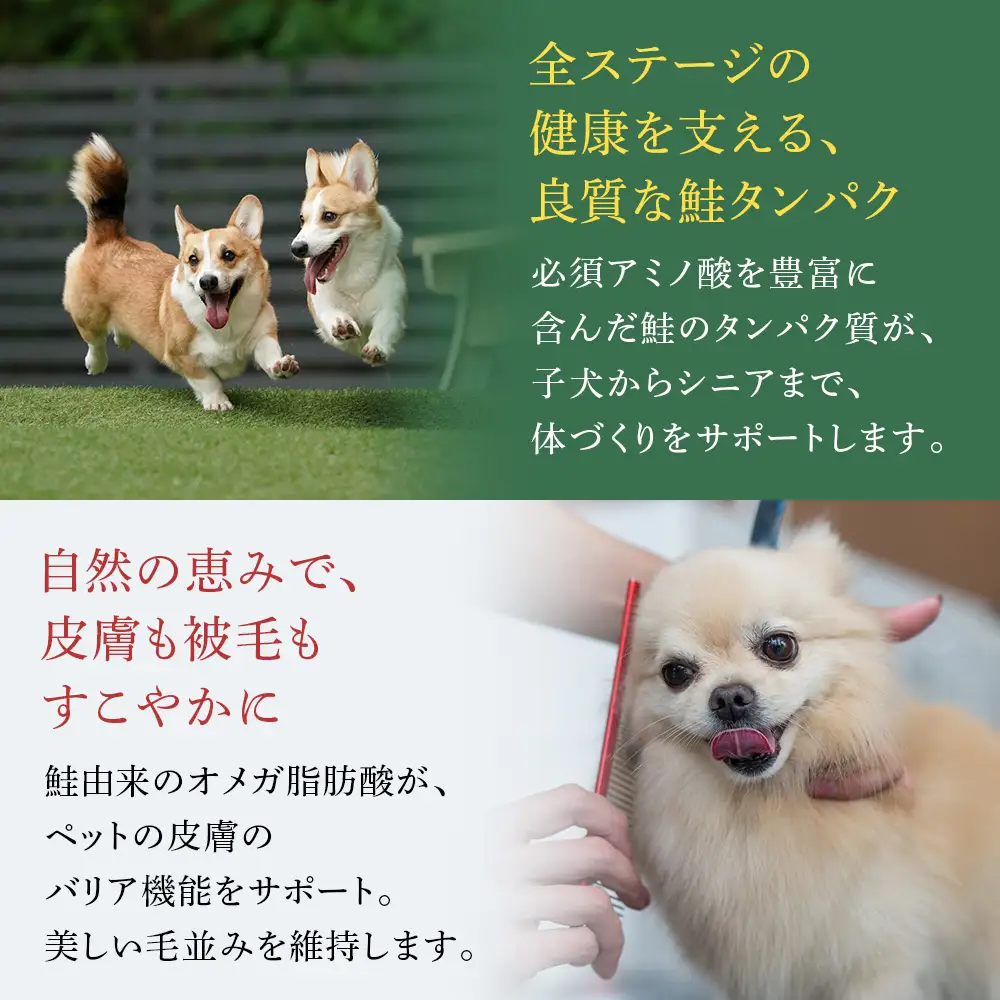 ペット用 シャケジャーキー  森魚 モリオ 