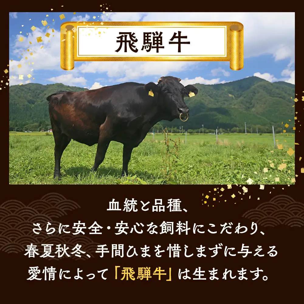 飛騨牛 焼肉 切り落とし 300g