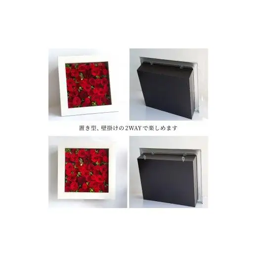 AMOROSA MODERNO パナッシュ(W37-H37) / レッド40本【upel0011】