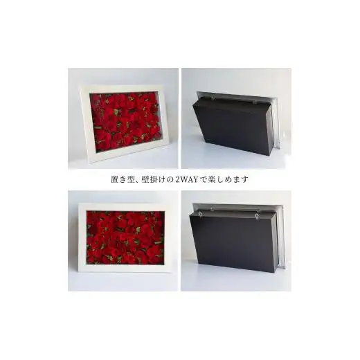AMOROSA MODERNO パナッシュ(W52-H37)/レッド60本 【upel0012】