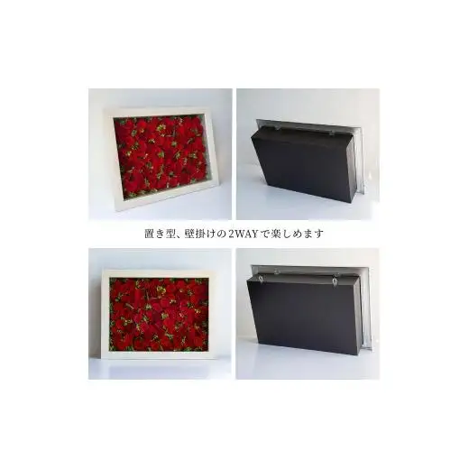 AMOROSA MODERNO パナッシュ(W67-H52)/レッド108本【upel0013】