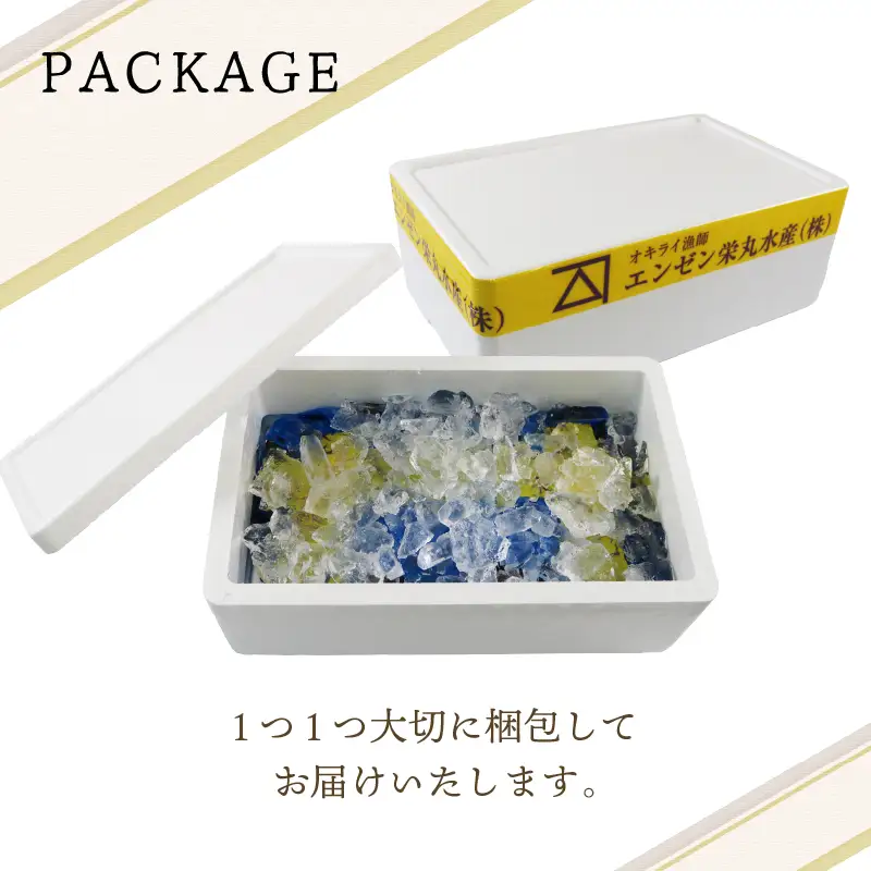 活ムール貝 3kg 国産 冷蔵 ＼ ムール貝 ／
