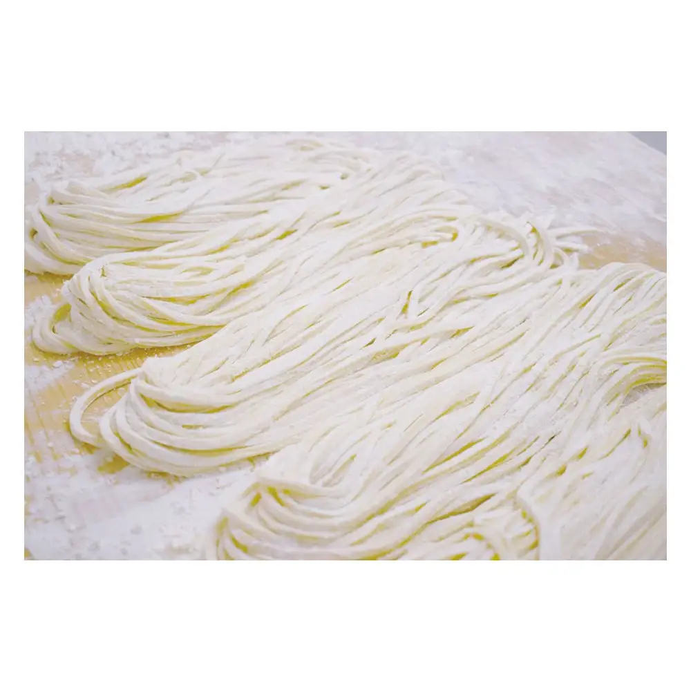 半生うどん8食セット（ボトルだし醤油付）