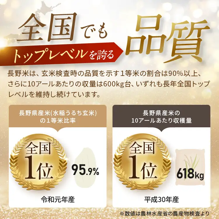 令和８年産 新米 上高地清流米 こしひかり 白米 10kg  長野県産