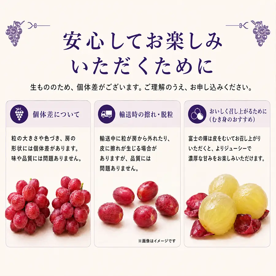 高級種無しぶどう 富士の輝 松田ぶどう園