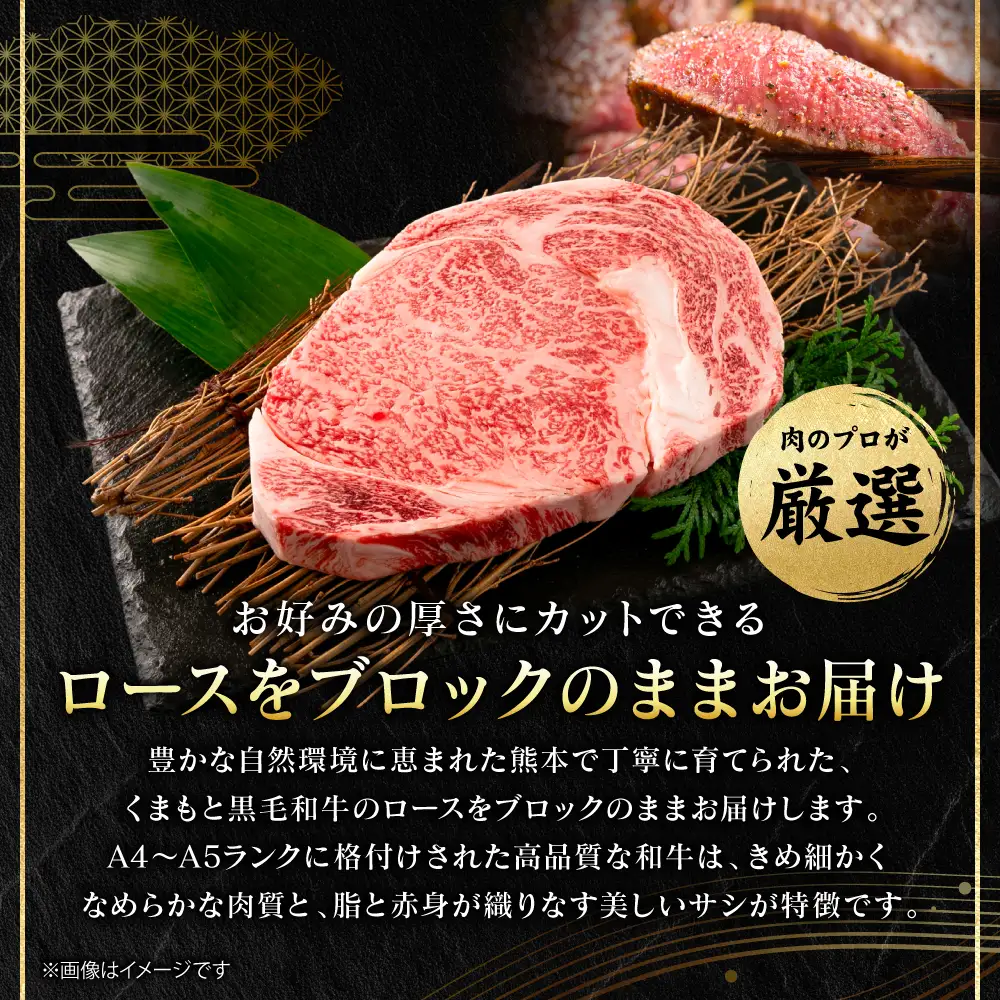 牛肉 くまもと黒毛和牛 ロース ブロック 約500g （約500g×1パック） A4～A5ランク 牛肉