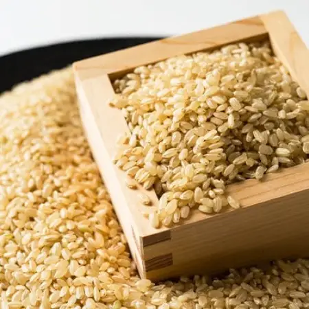 令和8年産　阿曽レンゲ米(きぬむすめ15kg)【玄米】【1757321】