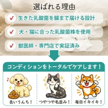 ペット用乳酸菌サプリ ヘルスチャージN 60カプセル【1755626】