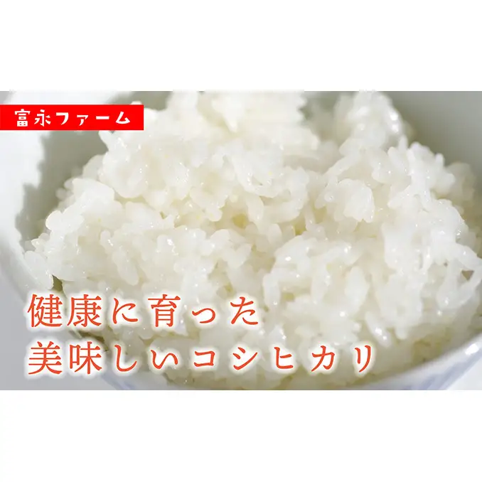 令和8年産 先行予約 「田でん物語」魚沼産コシヒカリ（精米）20kg（5kg×4） お米 白米 ご飯 ブランド米 銘柄米 精米したて 新潟県産 直送 主食 炭水化物 