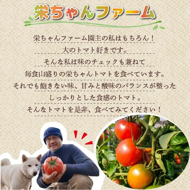 【先行予約】【2027年3月発送】大玉トマト 2kg 小 15玉 以上 トマト