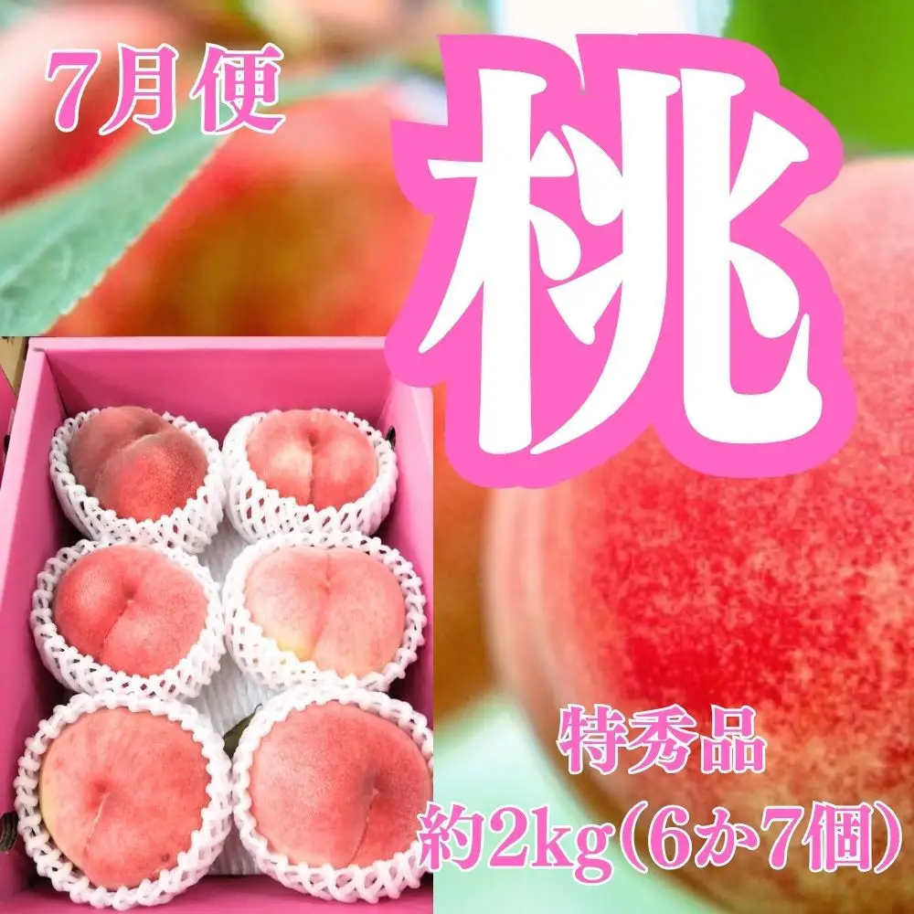 【全5回】坂出の美味しい果物定期便　四季折々の果物をお届けします