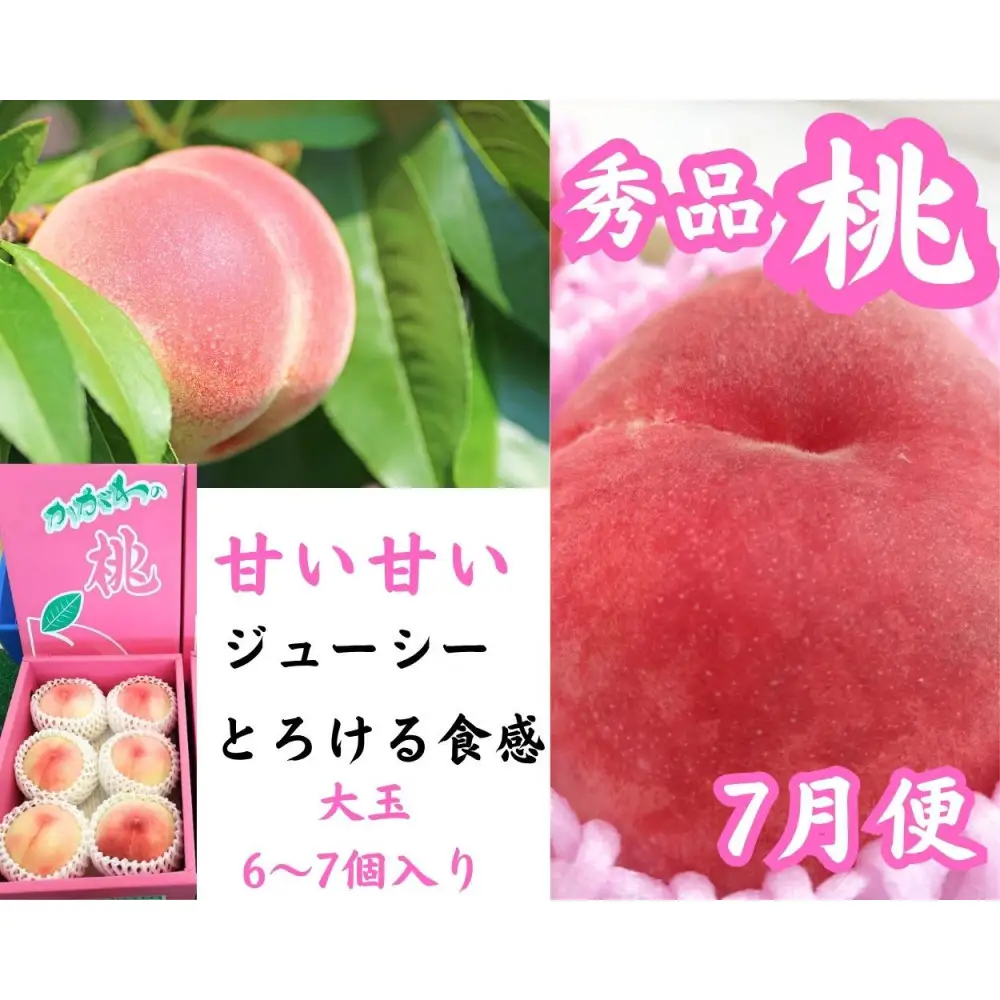 【全6回】坂出　冬・夏　美味しい果物定期便