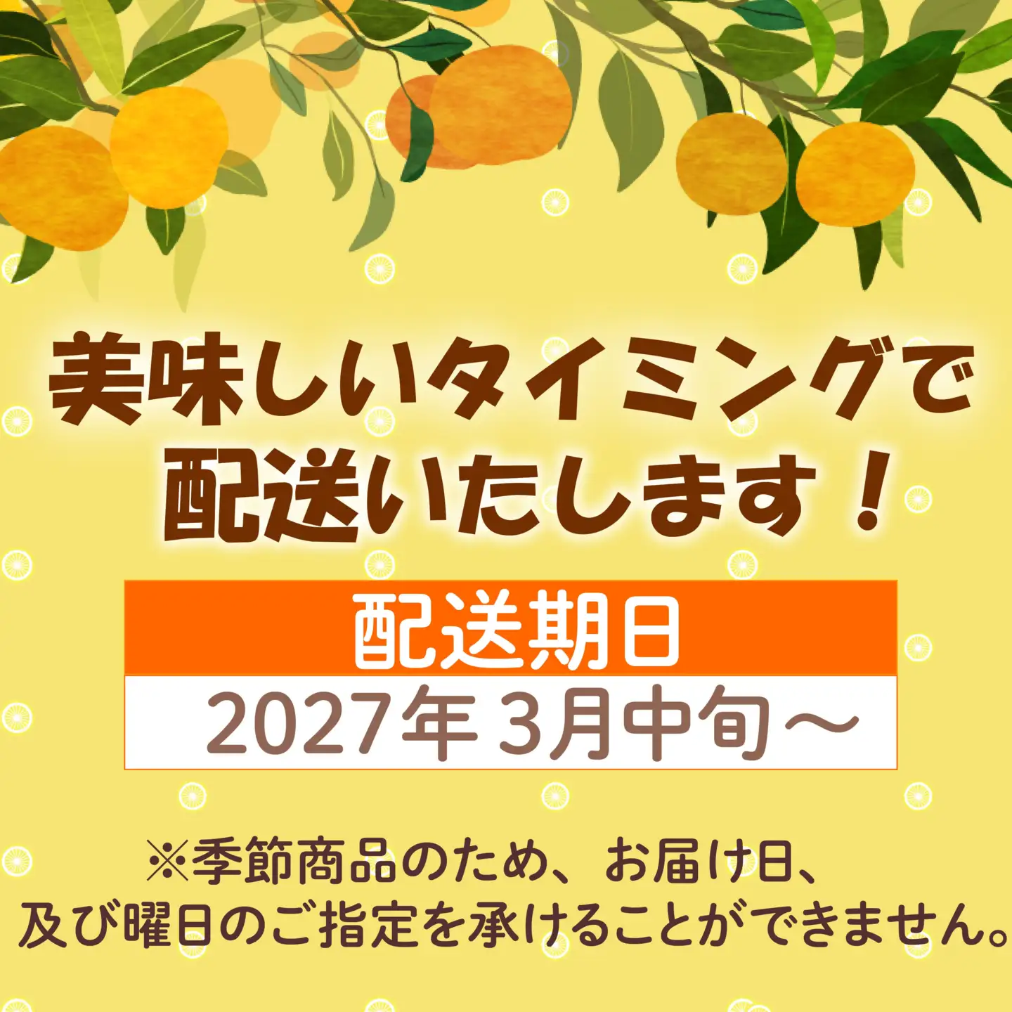 レモネード 柑橘 約 2kg 産地直送 沼津 柑橘