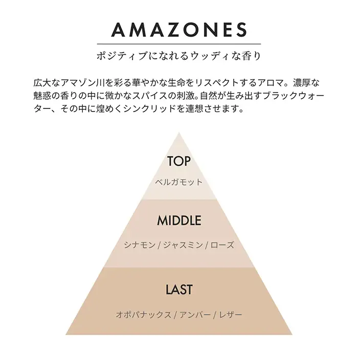 アロマディフューザー (AMAZONES /アマゾネス・200ml 約3月分) 日本製 天然精油 リードディフューザー 芳香剤 スティック 天然枝付き アロマディフューザー ギフト 新登場 【m109-18-B】【アーチリテイルズ】