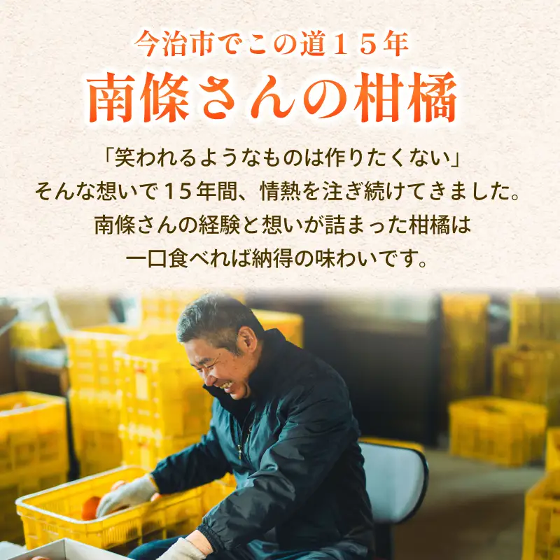【数量限定】温州みかん 約3kg 小玉 約15～25個程度【K003940K3】えひめ みかん 小玉 路地栽培 マルハ果樹園 ＼大人気商品／ みかん 愛媛県 今治産 国産 柑橘 果物 美味しい 高級みかん 甘いみかん 甘平みかん フルーツ【11月下旬頃から順次発送】