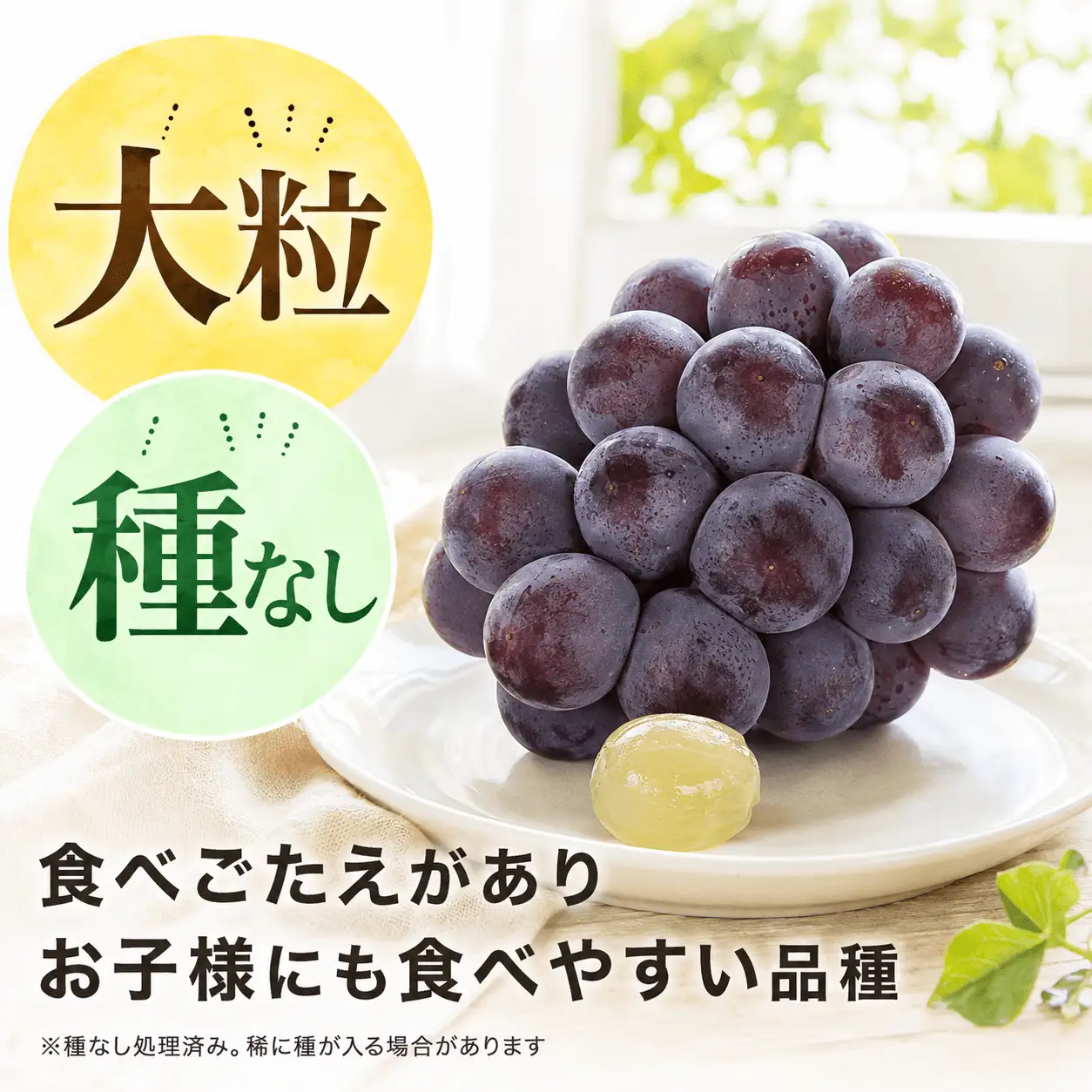＜訳あり＞ 家庭用ピオーネ＆シャインマスカット 約1.2kg｜味はそのまま・ご家庭用におすすめ（チルド配送）《9月中旬-10月下旬出荷予定》期間限定 フルーツ 果物 ぶどう ブドウ 神石高原町 広島県