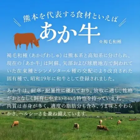 【毎月定期便】熊本県産あか牛 和牛100% オリジナルハンバーグ 150g×10個(益城町)全3回【配送不可地域：離島】【4089328】