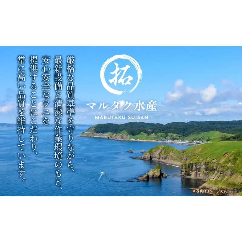 3ヵ月定期便 ロシア産 バフンウニ 100g×2 塩水 うに