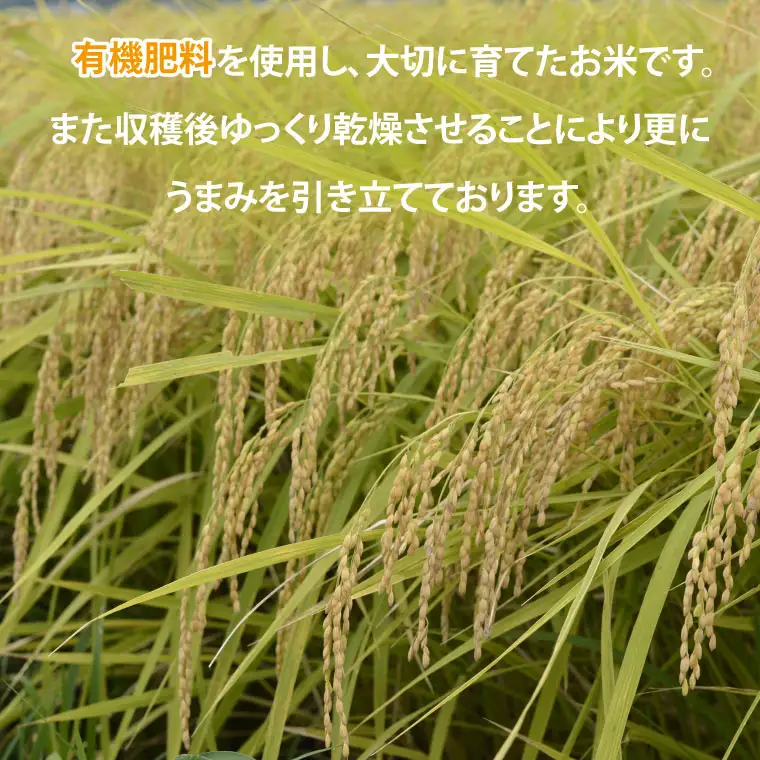 令和8年産 ゆうだい21 玄米 10kg DQ008-1