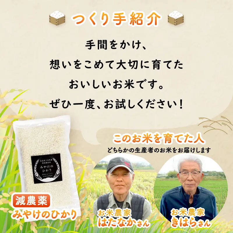 特別栽培米 みやけのひかり 2合 300グラム お試し 減農薬米 奈良県三宅町 白米 ヒノヒカリ 真空パックでお届け 保存食