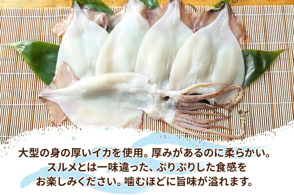 イカの開き 5枚 干物 冷凍