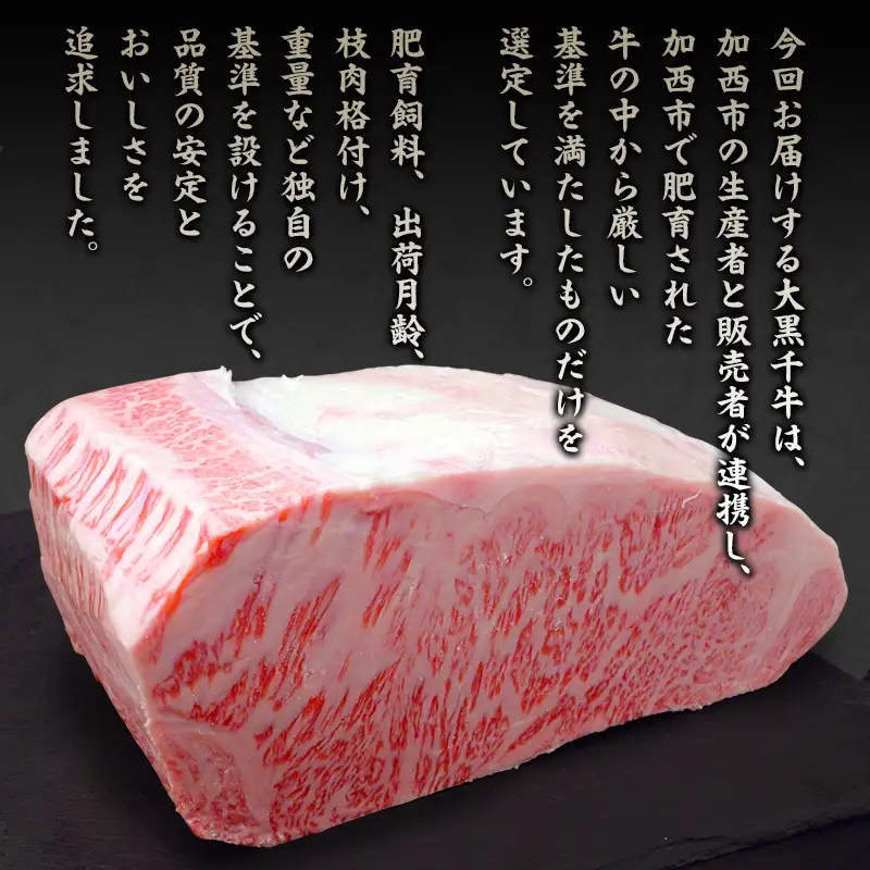 黒毛和牛 大黒千牛 サーロインステーキ 黒毛和牛【500g(約250g×2)】【冷凍】