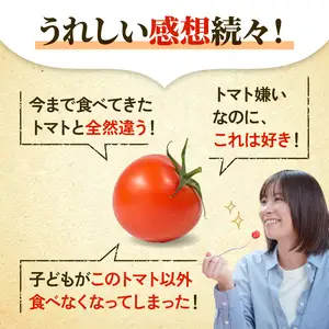 先行予約 訳あり トマト ごほうびとまと 1.2kg トマト