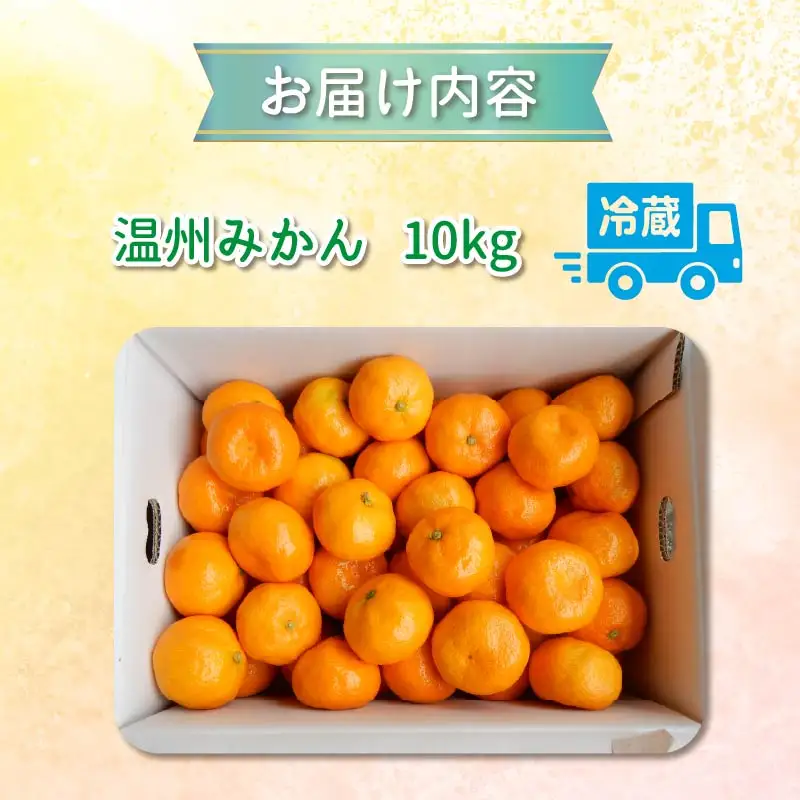 温州みかん 10kg 先行予約 みかん ミカン 伊豆 下田 静岡