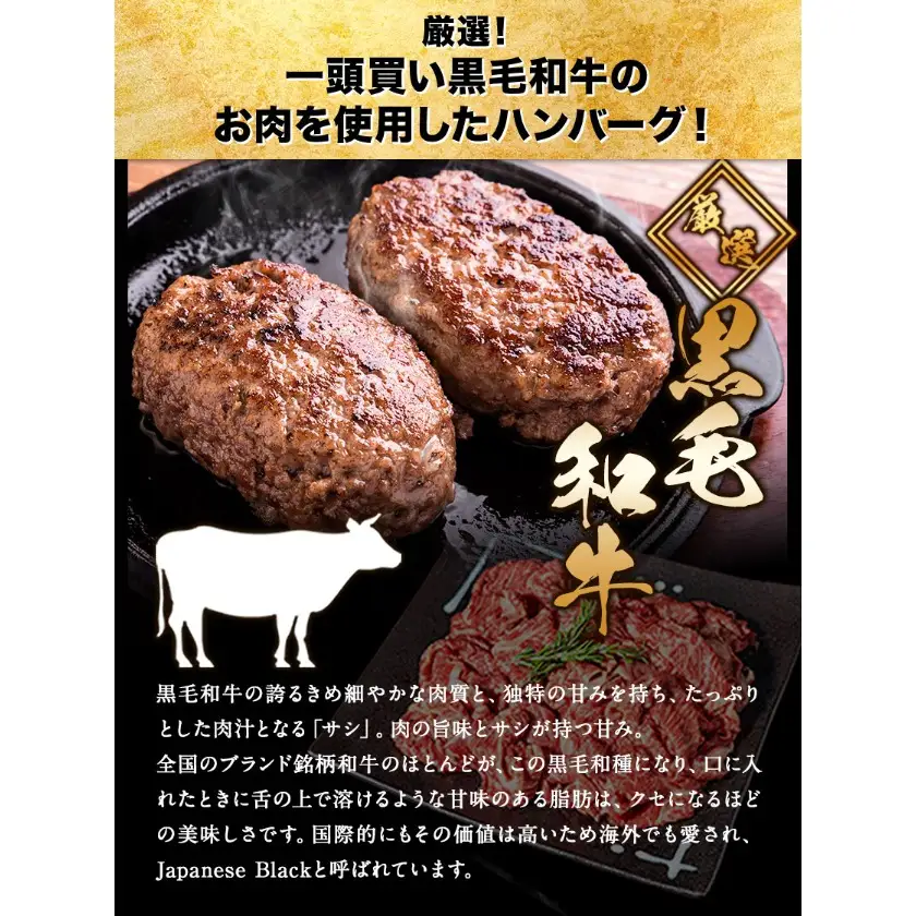 ハンバーグ 大容量 10個 黒毛和牛 100% 生ハンバーグ 