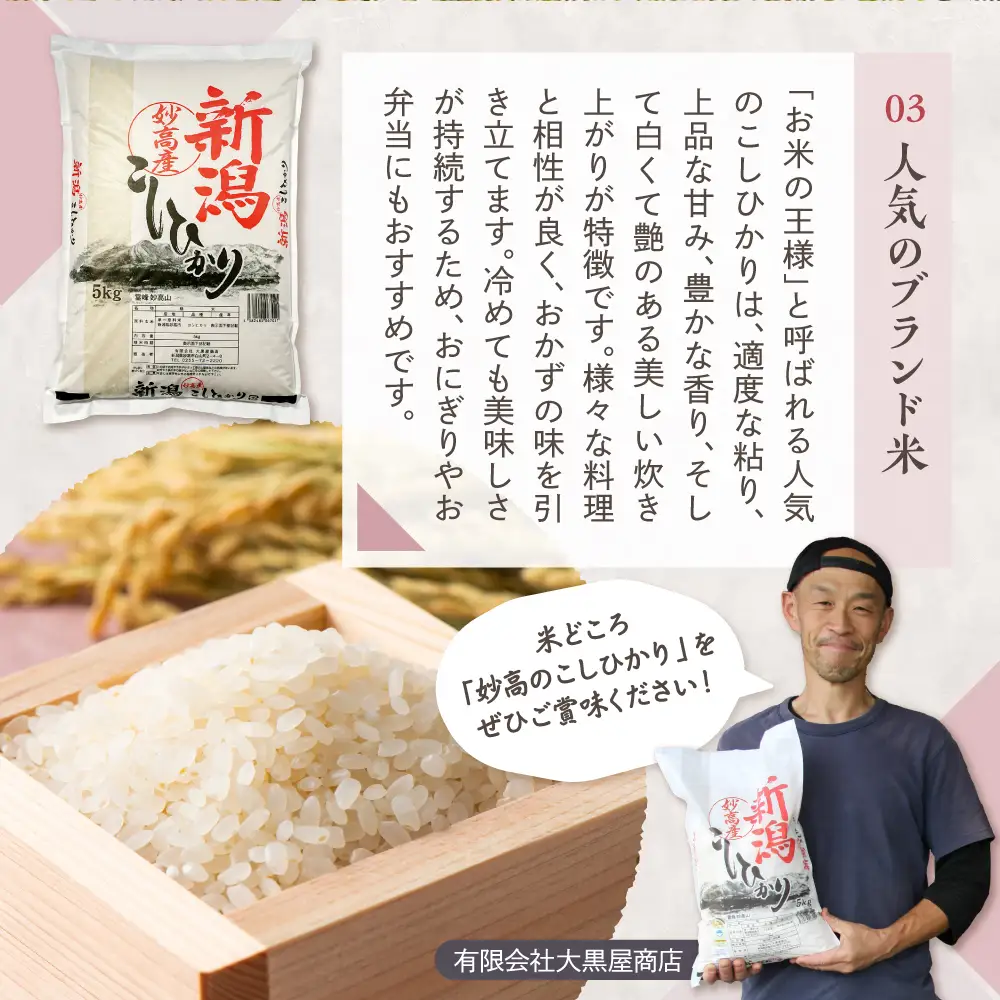 【2026年10月上旬発送】令和8年産 新潟県妙高産 こしひかり 2kg
