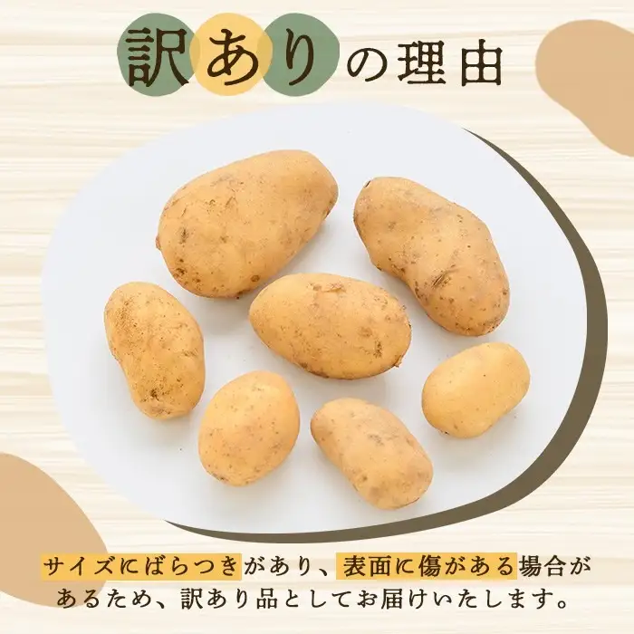 ＜先行予約受付中！2027年5月下旬以降順次発送予定＞ 訳あり！じゃがいも「メークイン」(約20kg) じゃがいも ジャガイモ 芋 国産 野菜 期間限定 数量限定 肉じゃが ポテトサラダ カレー シチュー 【古田果樹園】akn093-08