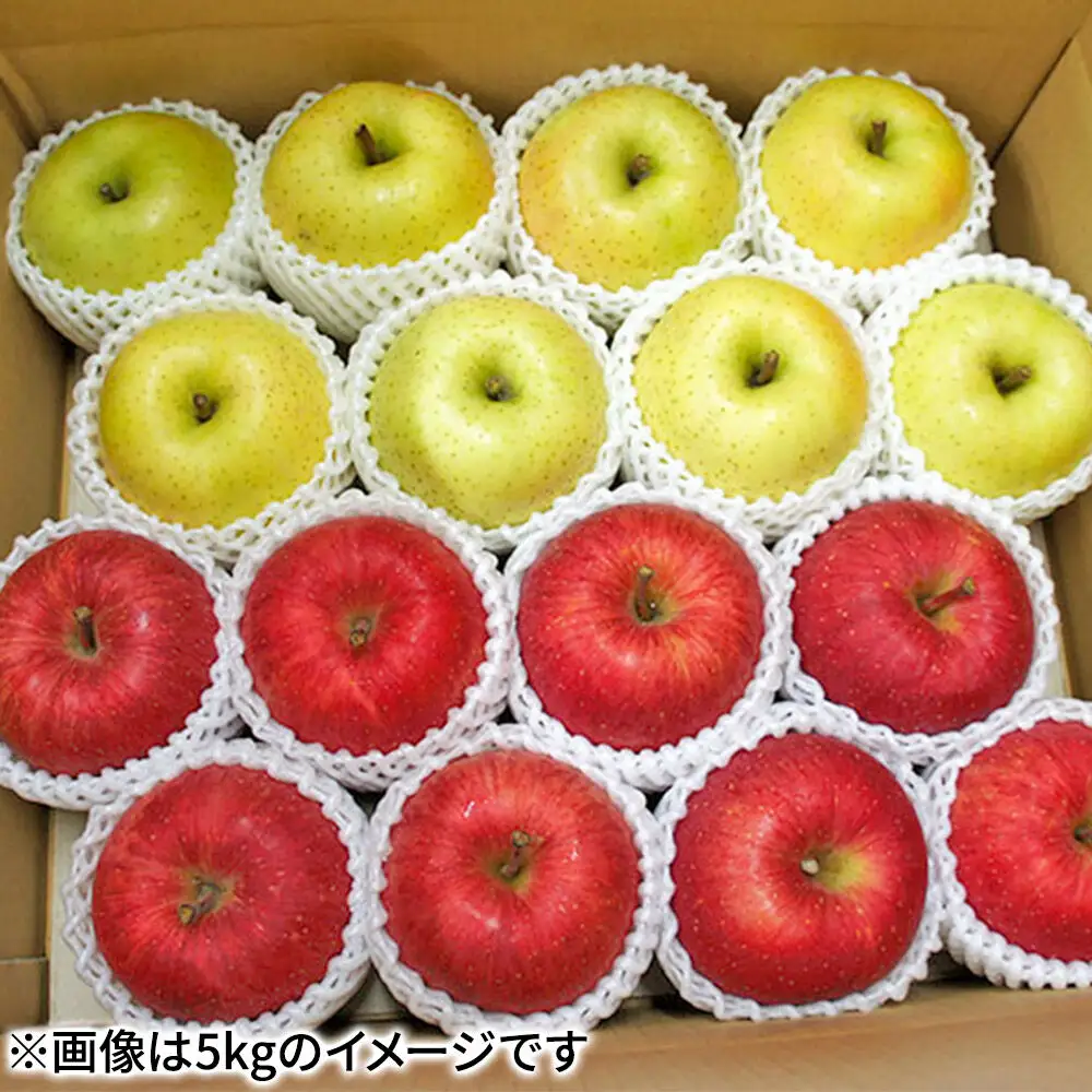 【27年2月発送】りんご サンふじ・王林【贈答用】約3kg（9～12玉程度）先行受付 青森県産 林檎 リンゴ 果物 くだもの フルーツ 青森県 弘前市