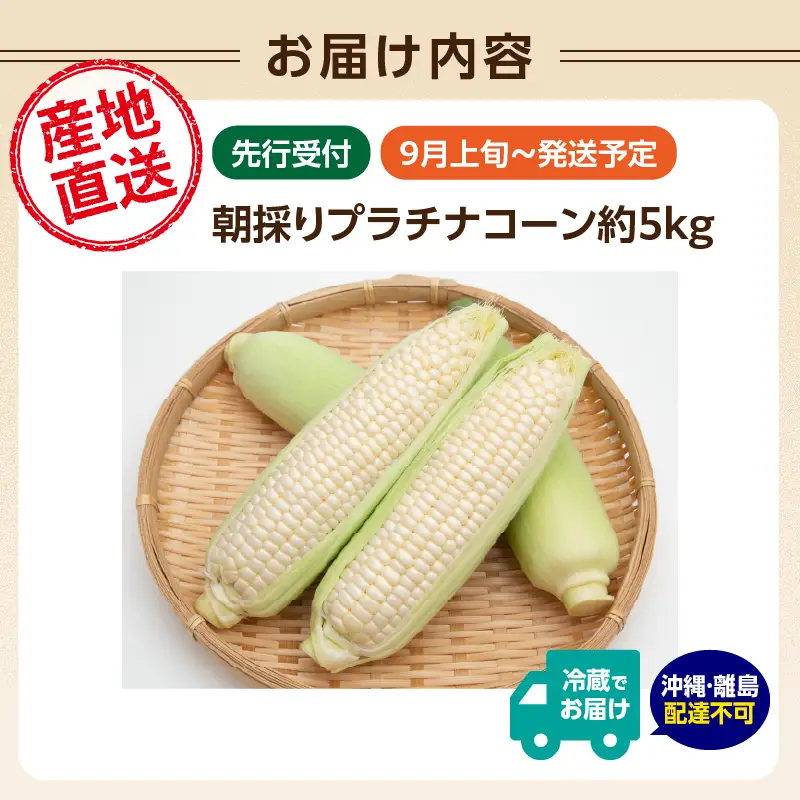 《先行受付》朝採りプラチナコーン約5kg・A品L～3L・11～15本程度 【2026年9月上旬～発送予定】【山形とうもろこし・大江町産・明石農園】 027-008