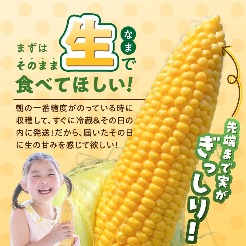 【2027年6月お届け】 福岡県産とうもろこし 2.5kg（スイートコーン） 〔Gv055-01〕