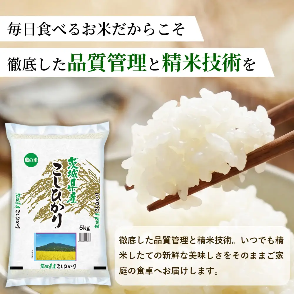 【令和8年産】茨城コシヒカリ 10㎏（5kg×2袋）【精米】 | お米 米 こしひかり 茨城県産 白米 ブランド米 小分け ※2026年9月～発送