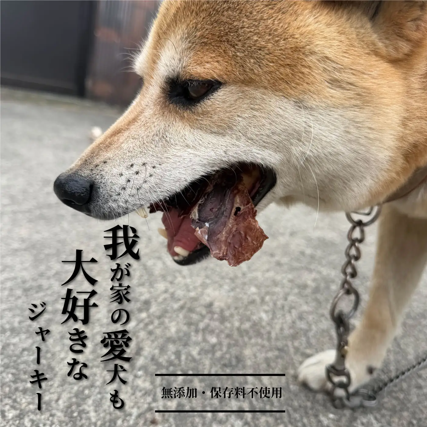ペット用 無添加 里山の恵み 鹿肉ジャーキー15g×8袋