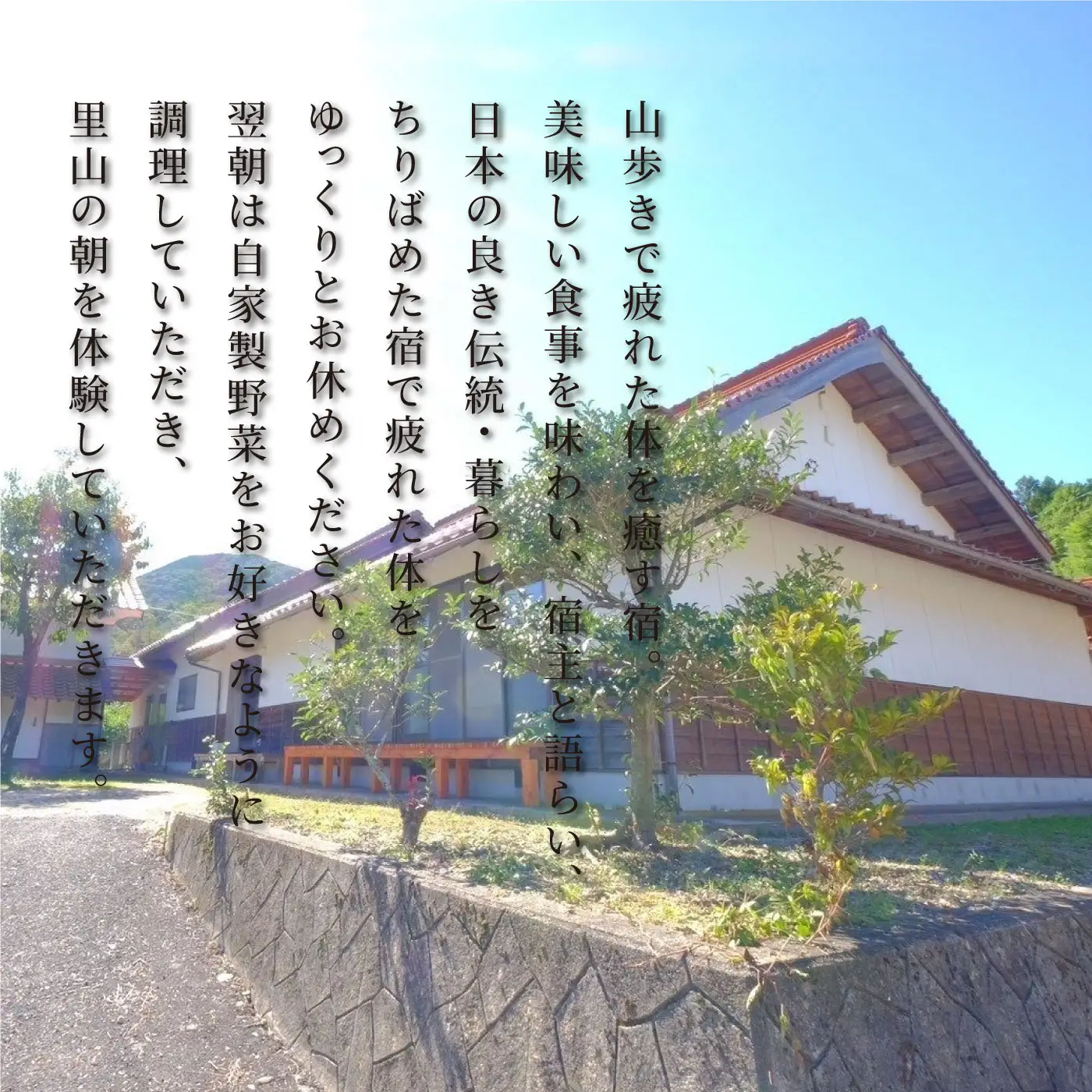 自然と命を体感する里山狩猟体験 宿泊付 お1人様【1日1組限定】