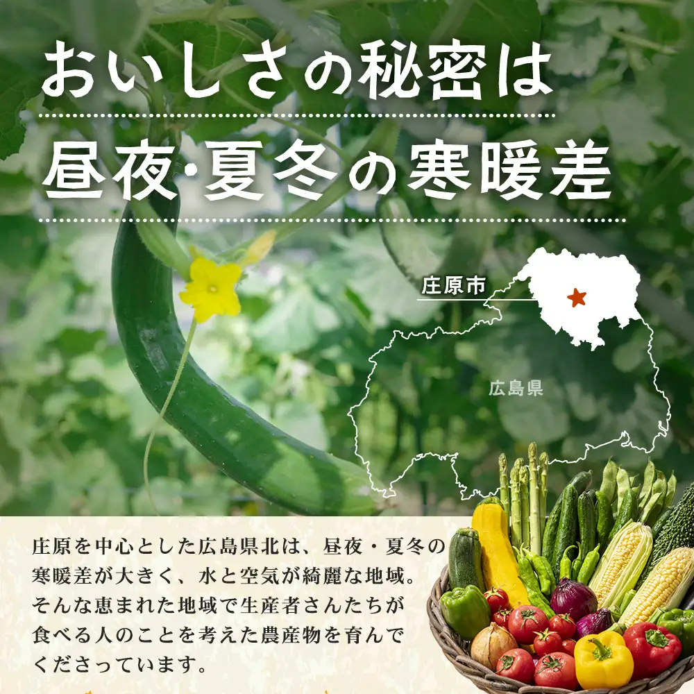 【定期便 6回配送】広島県庄原産「旬の野菜」詰め合わせ箱（13～15品目）野菜セット やさい 6ヵ月 6か月 6ヶ月 定期 頒布会